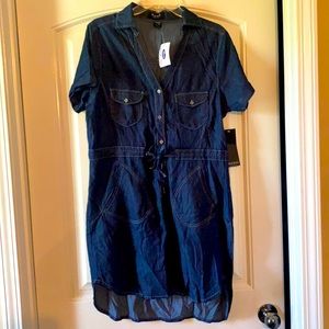 Blue Jean mid thigh dress